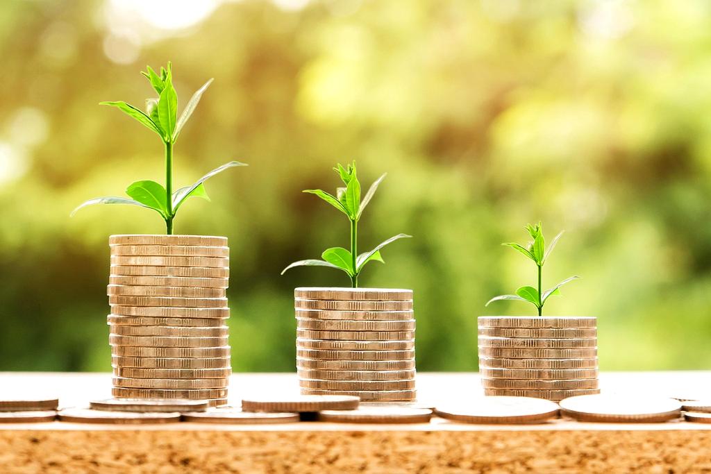 Stack of euro coins next to a small growing plant in a pot