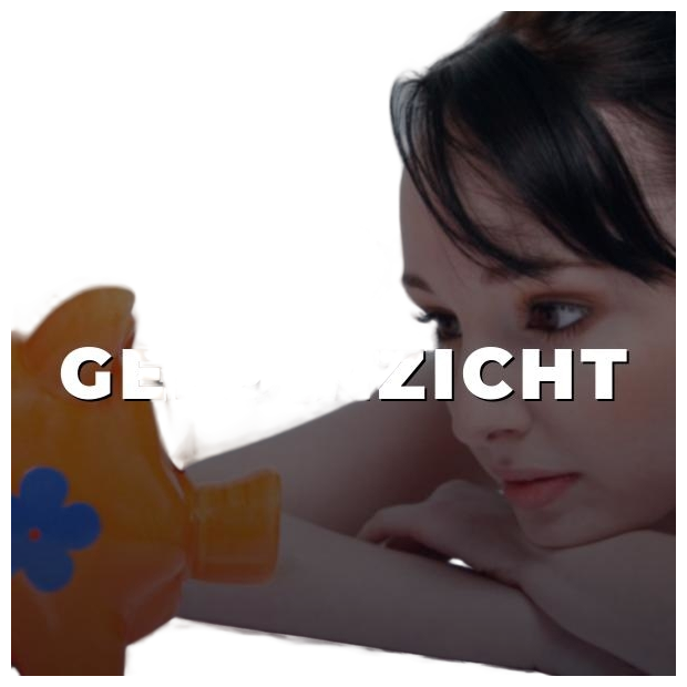 GeldInzicht logo